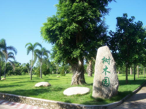 �V�|ï��ɭ�ֹ��@